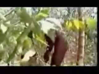 Duke i dhënë një marrjenëgojë në tribesman për 8 pounds i bananas