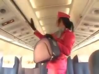 Bewitching stewardess zuigen peter voor cunnilingus